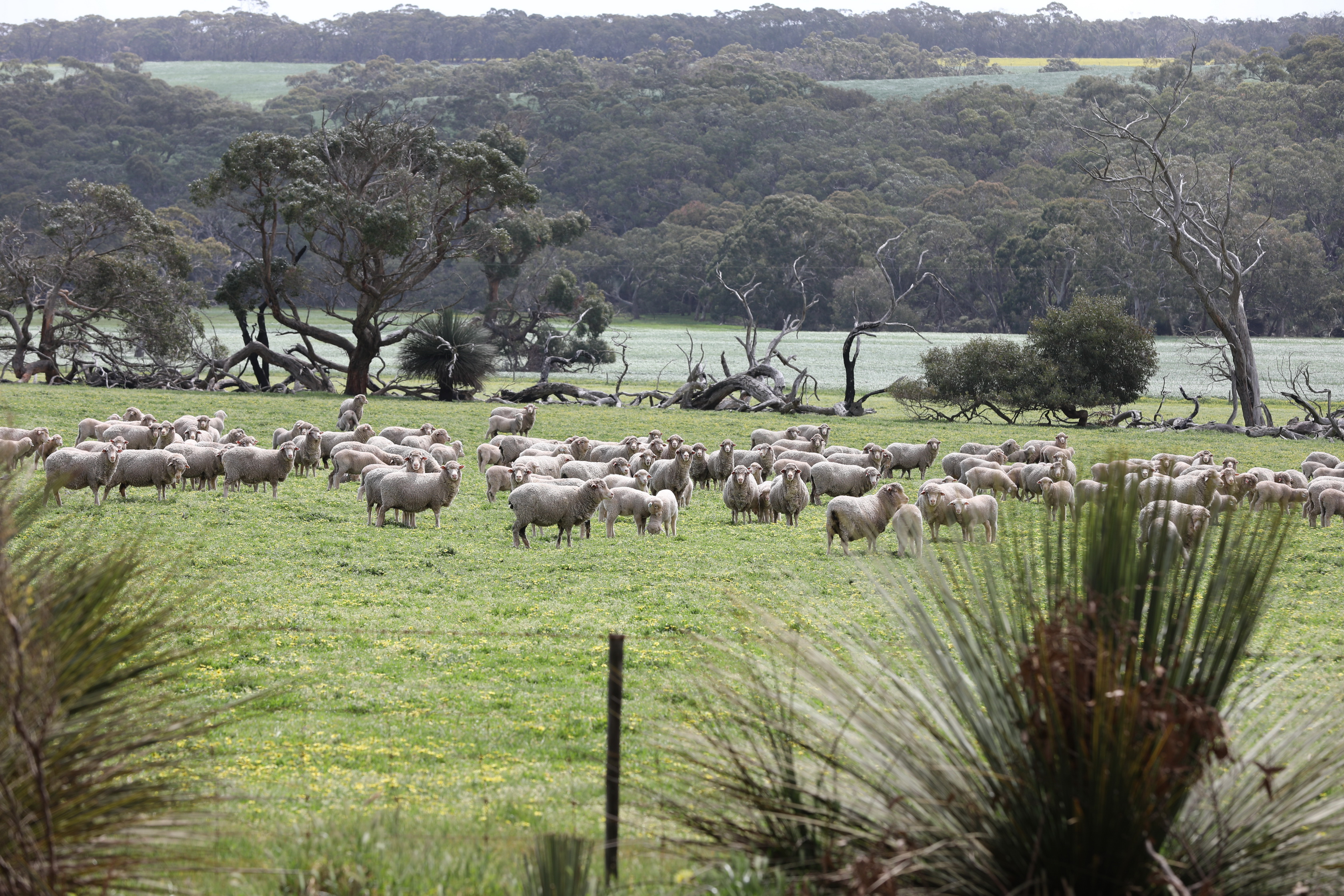 2019 10 04 13 12 05 Canon EOS 5D Mark IV 0023